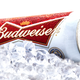 Illustration for article titled Budweiser applies to trademark “the official beer of esports”
